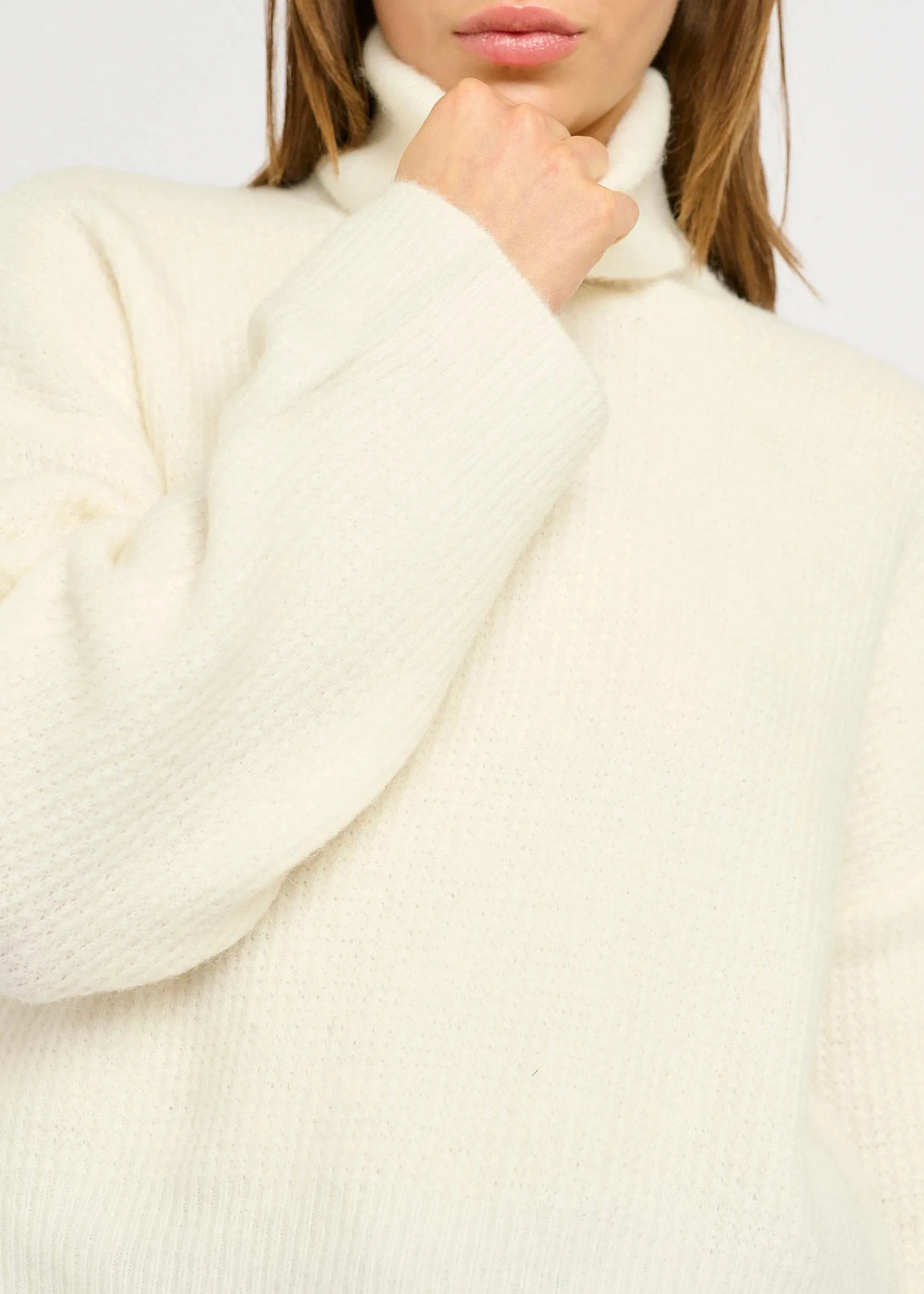 ALPHAGZ ROLLNECK | EGRET